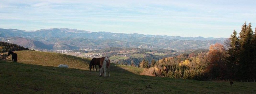 Ausblick Die Ranch