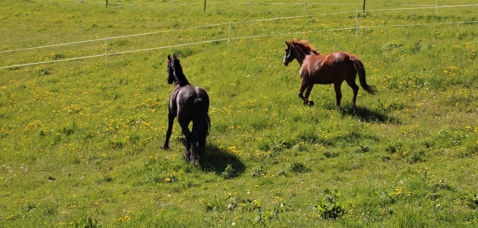 050f118d-b3ba-4711-954f-13b60ce18cf4