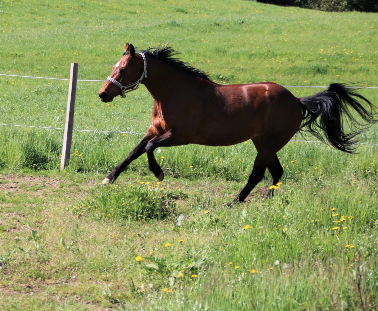 094a29ba-0837-4f73-93c1-fbc89a643770