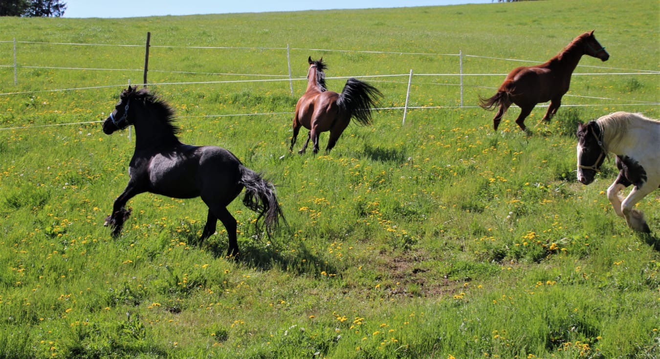 0b45ef87-024c-4153-a67e-8b77c4ed8d47