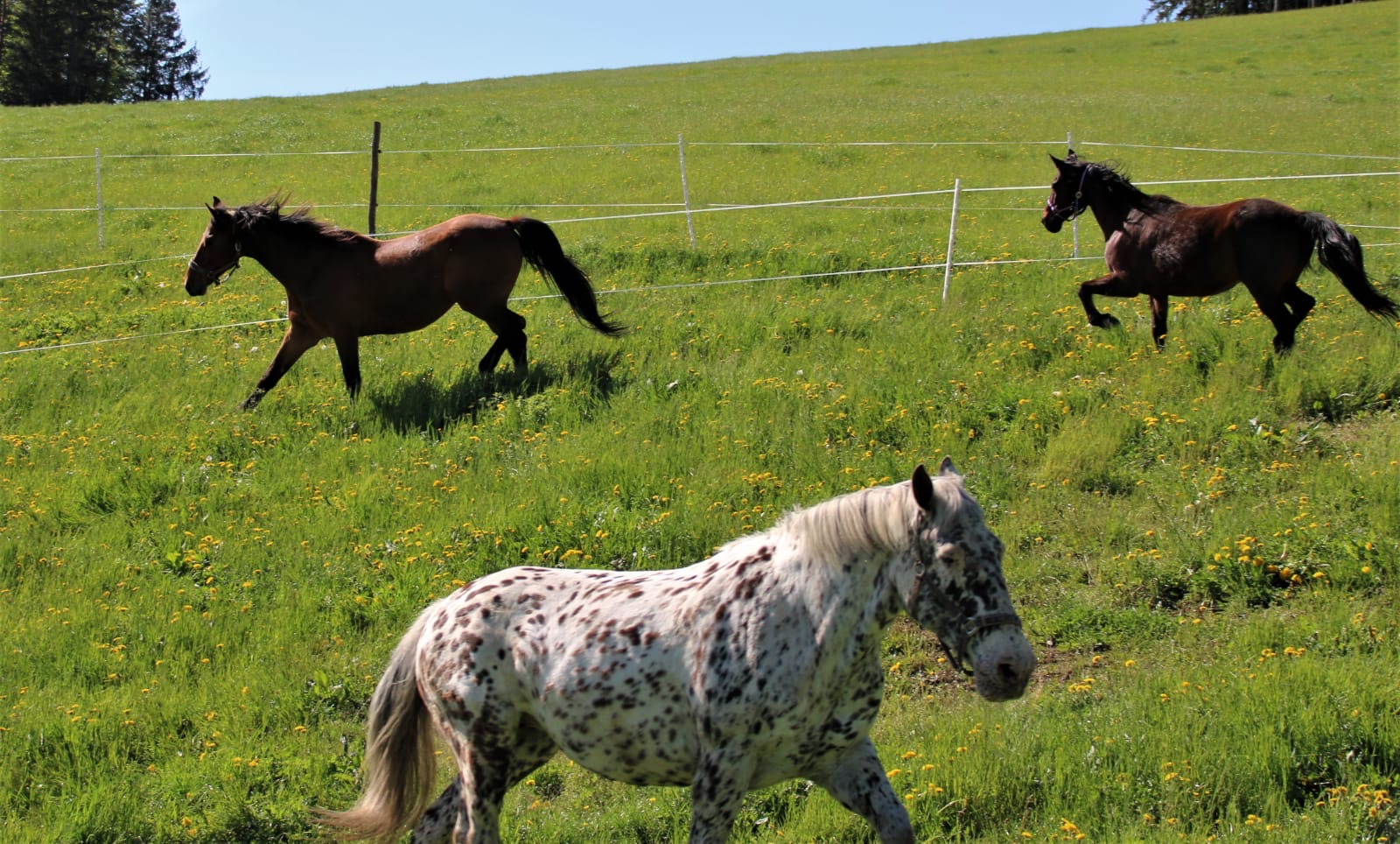 0bb088ad-8dea-4a9b-bde9-b8f31099b8d2