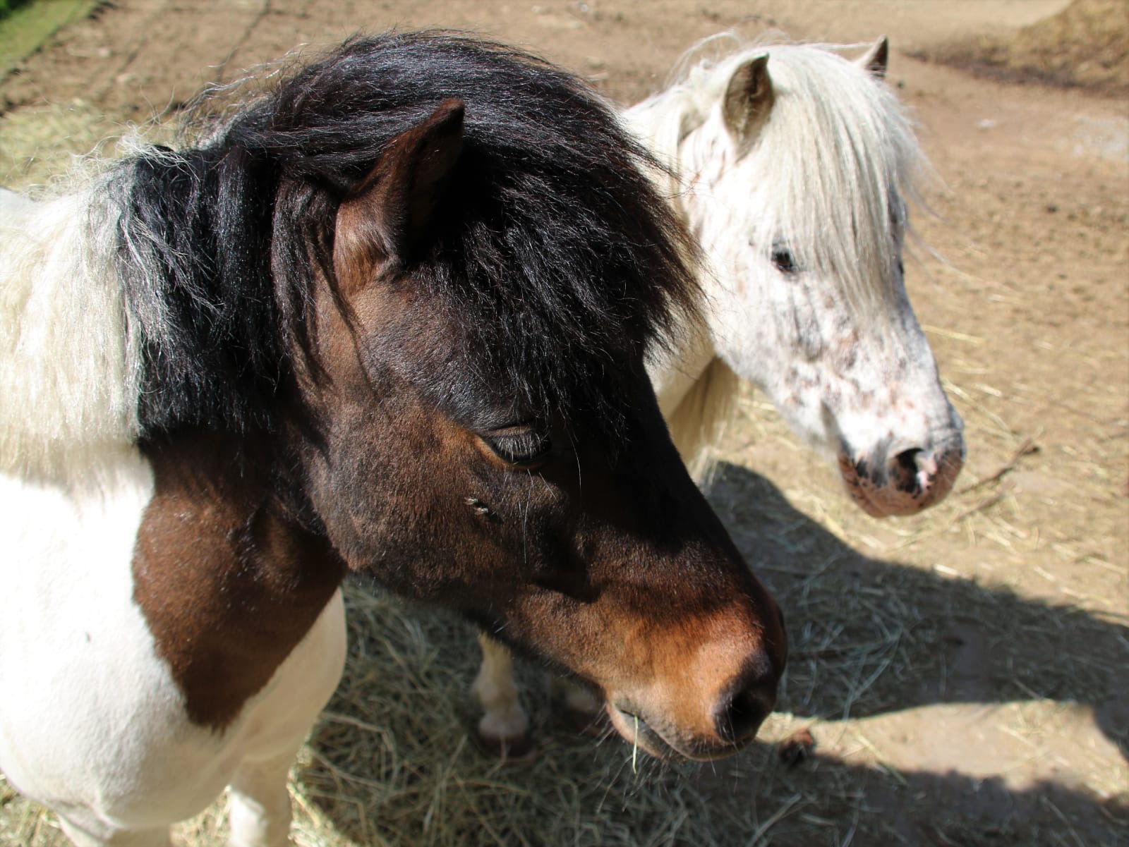 0c7fdc8e-71b2-4b6e-bed4-7bd245aa5c99