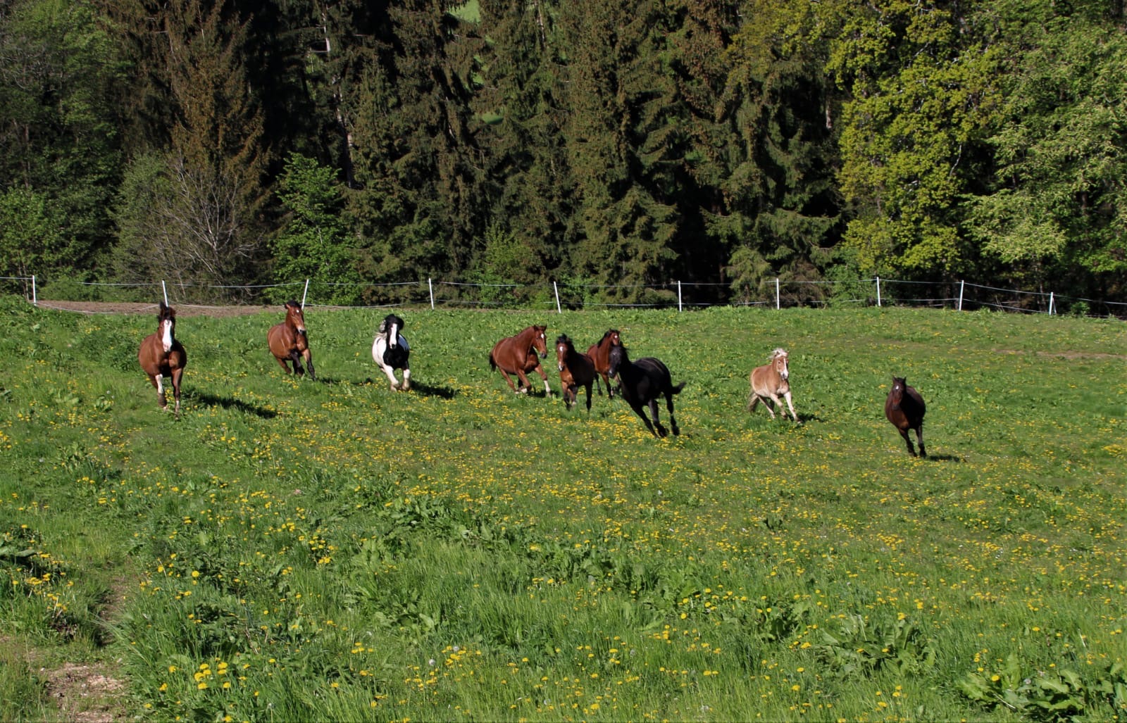 0fc8c966-5deb-459c-a864-0a5a1ea3797a