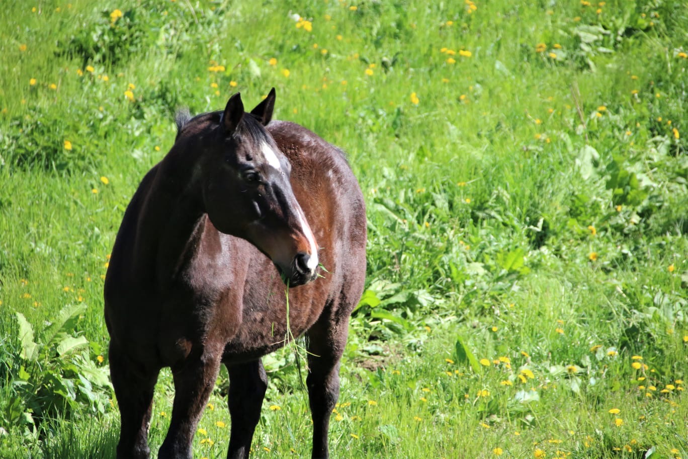 10075b40-adfb-4c4d-aa31-1918e6797508