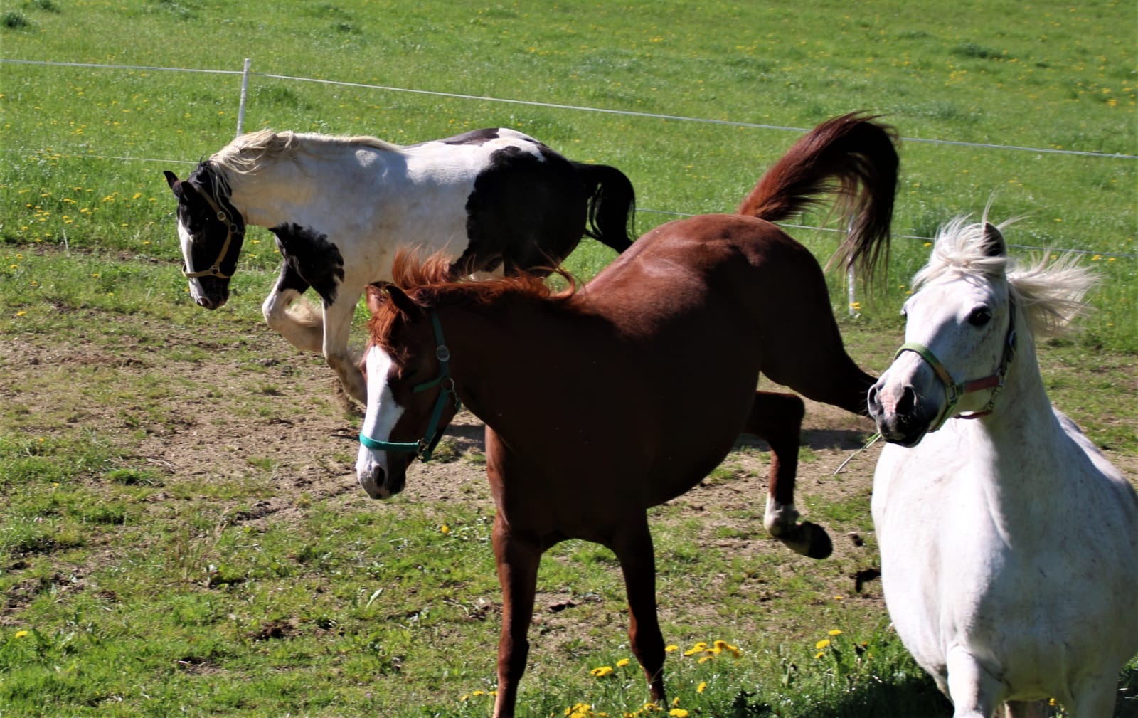 156bb7b2-e6f3-4eb5-acb0-32161edd25df