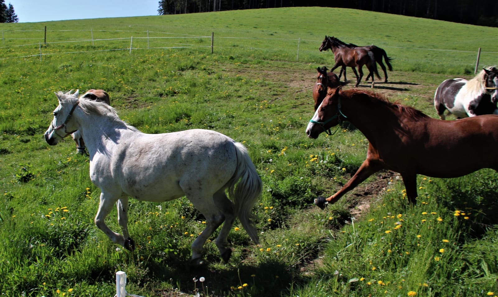 17019f67-c9ef-4a5c-a33b-dab40da42c8a