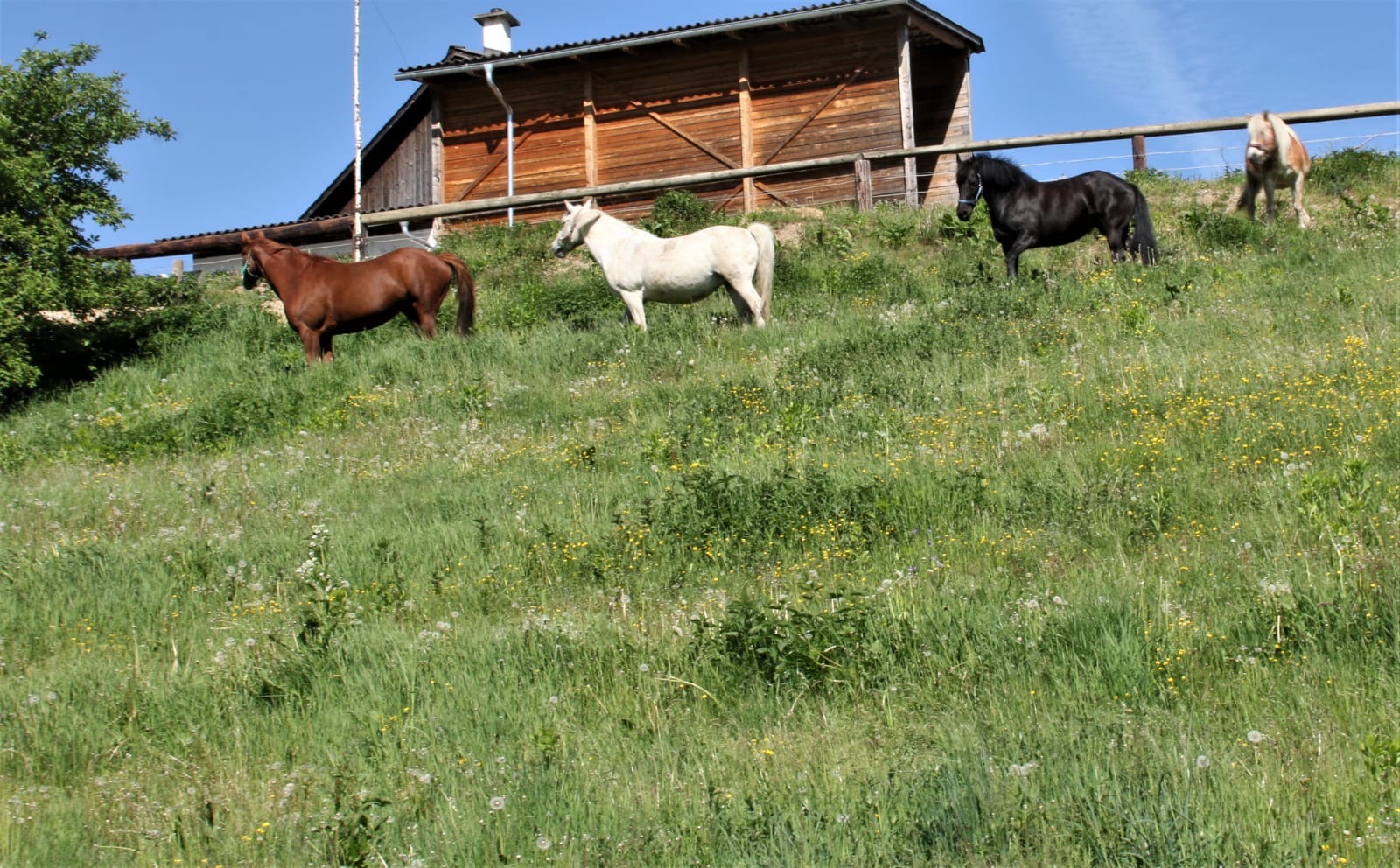 171c1865-df52-4992-b30b-60a8e9fc92c4