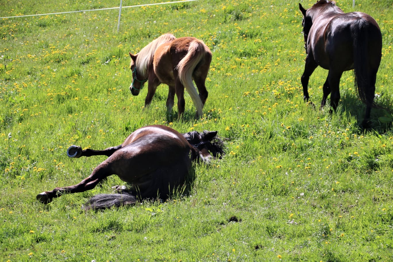 2a60e792-1451-487e-9bb6-f9882b6dc4cd