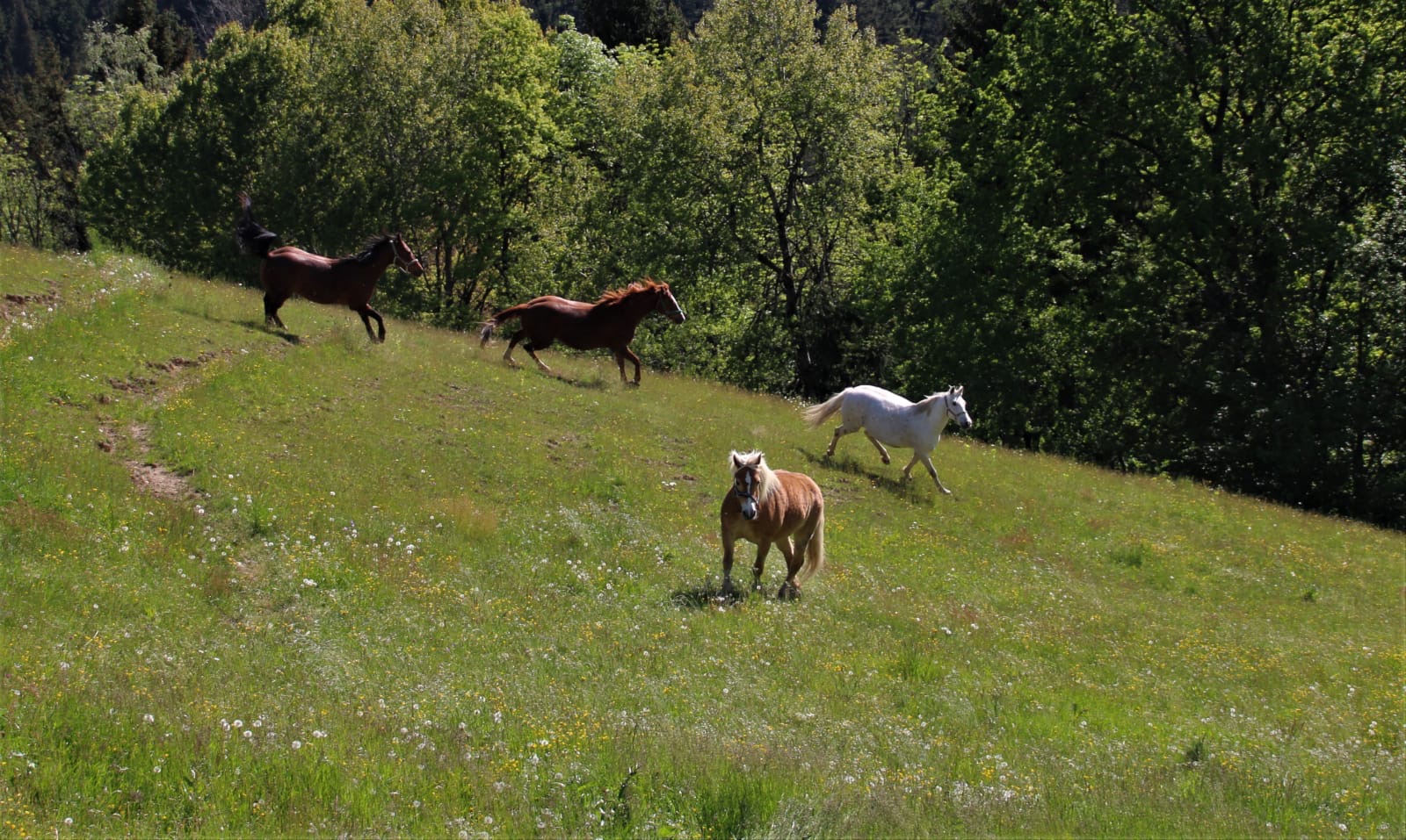 2ca42b17-e8d6-4ecd-864d-60371e2b8028