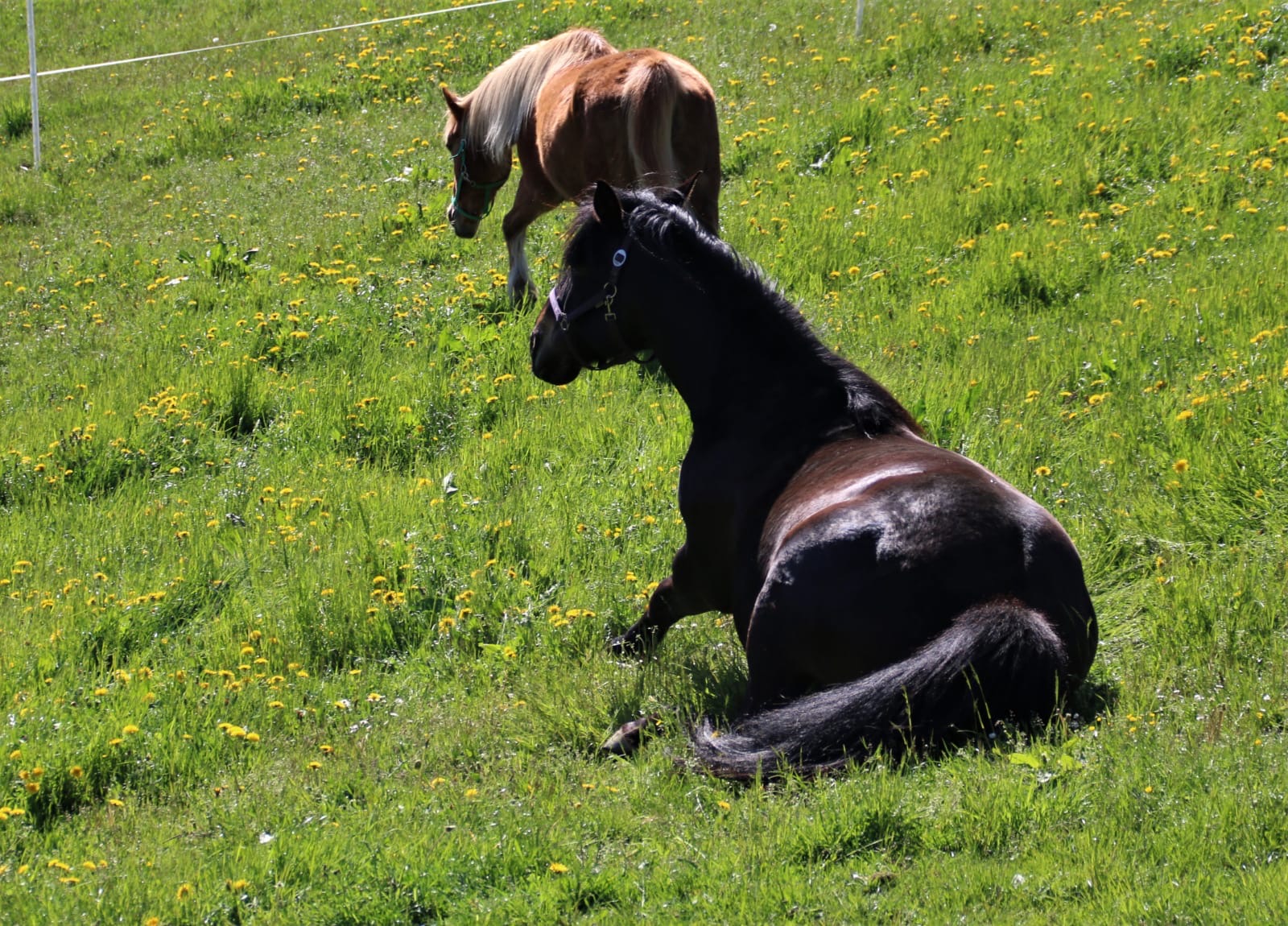 2d9ccd3c-303f-4590-8cf8-d148a48d83b9