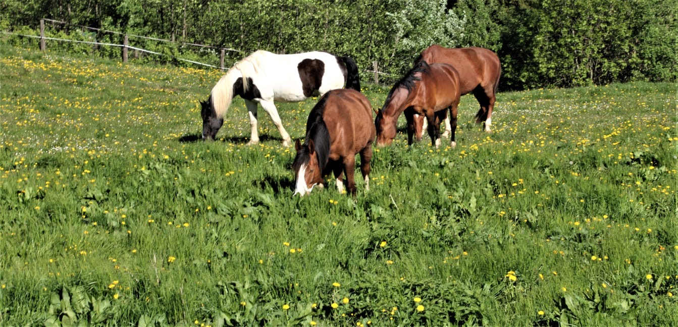 2da9cc69-e6cb-4d02-8ecd-d756ce7d0a24