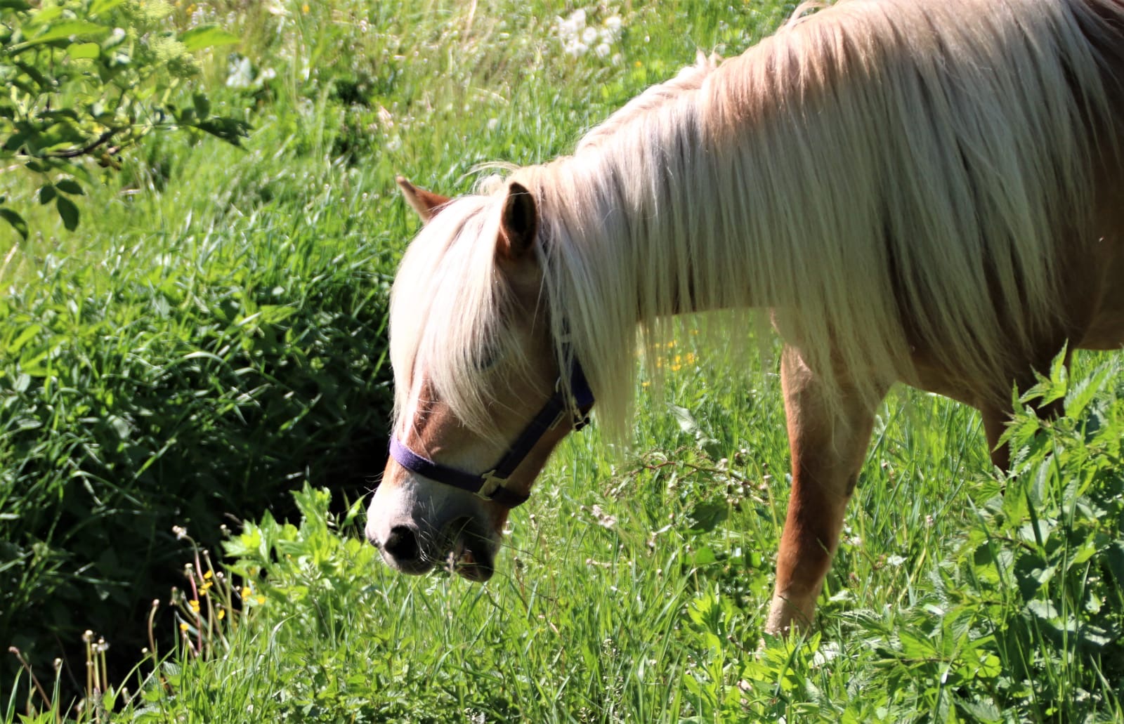 2de726c7-4f02-4fbc-9e4d-705bfa08a294