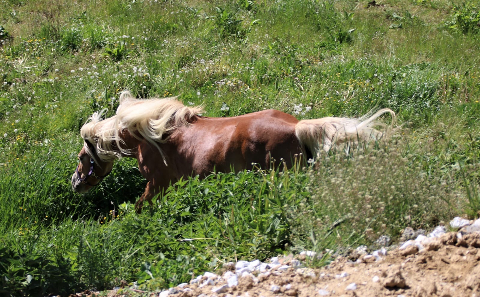 2e56f57c-1b67-49e3-8a18-f0d587df6570