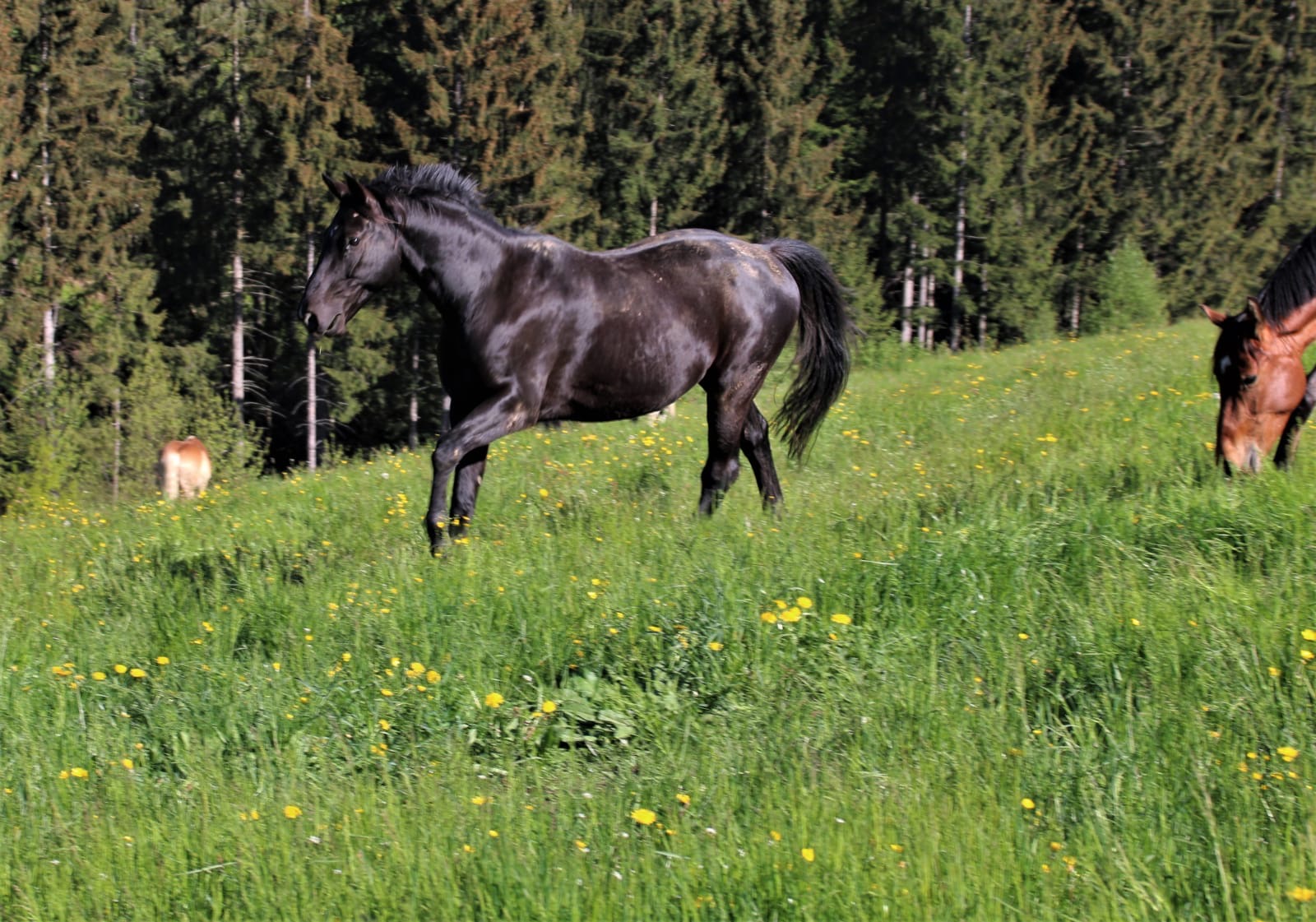 31c384ce-680c-4f35-b5f1-99b5fd90b7af