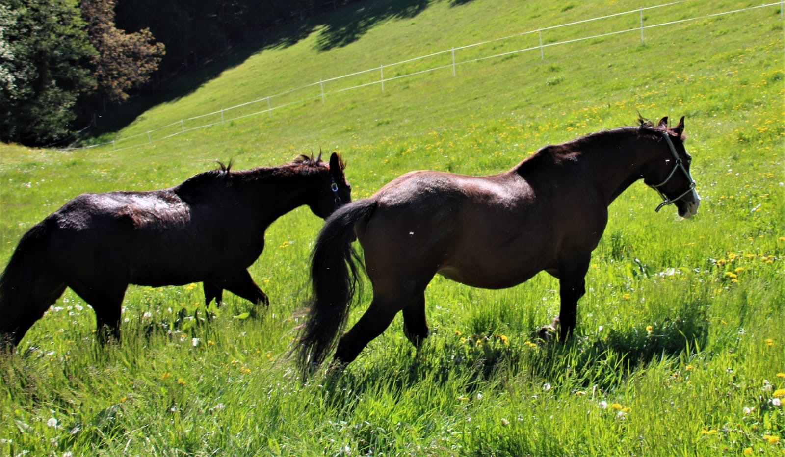 3b7f7ca1-5d75-47cf-93b8-4233d291372f