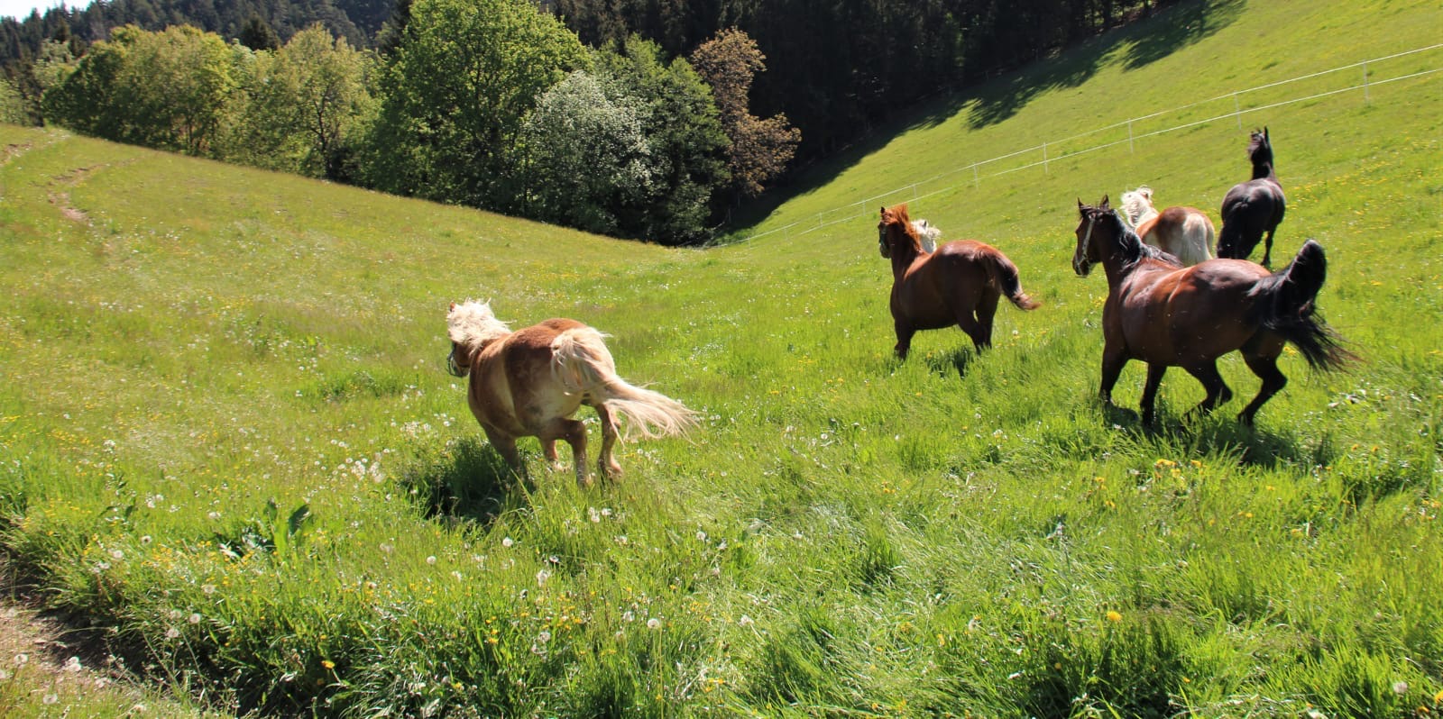 3cd197b2-bccb-499a-877e-c460e9f13e2b