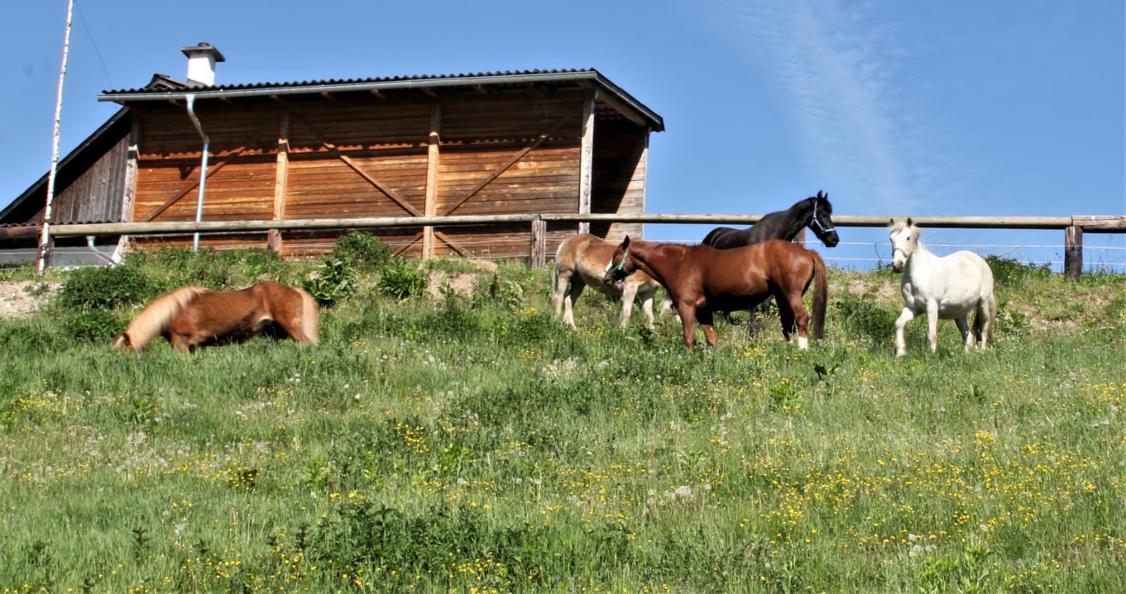 4709b08d-8c26-4bce-b0e0-3a14d17dce85