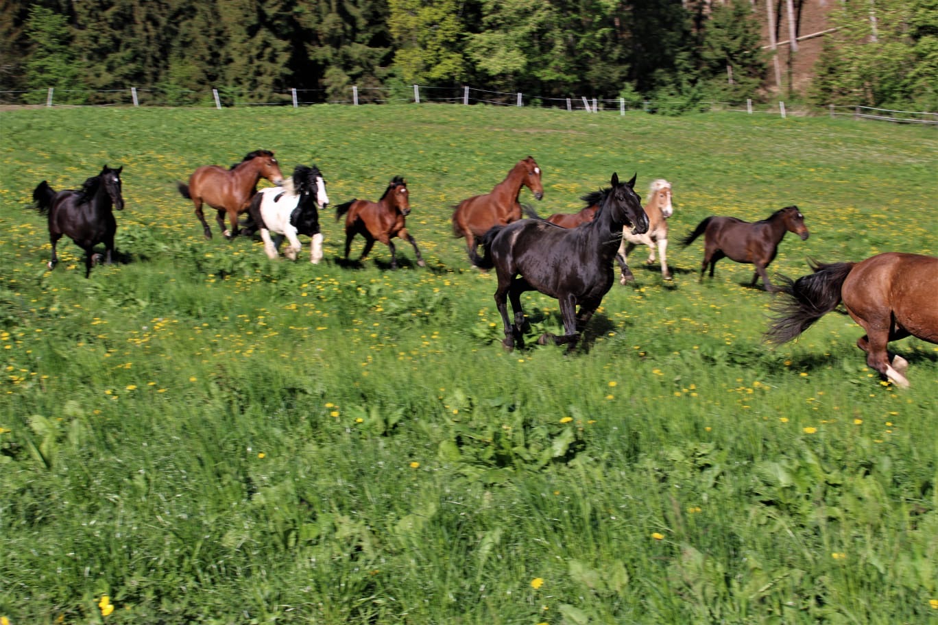 47ce17c8-4867-4783-bfb2-b40e94021234