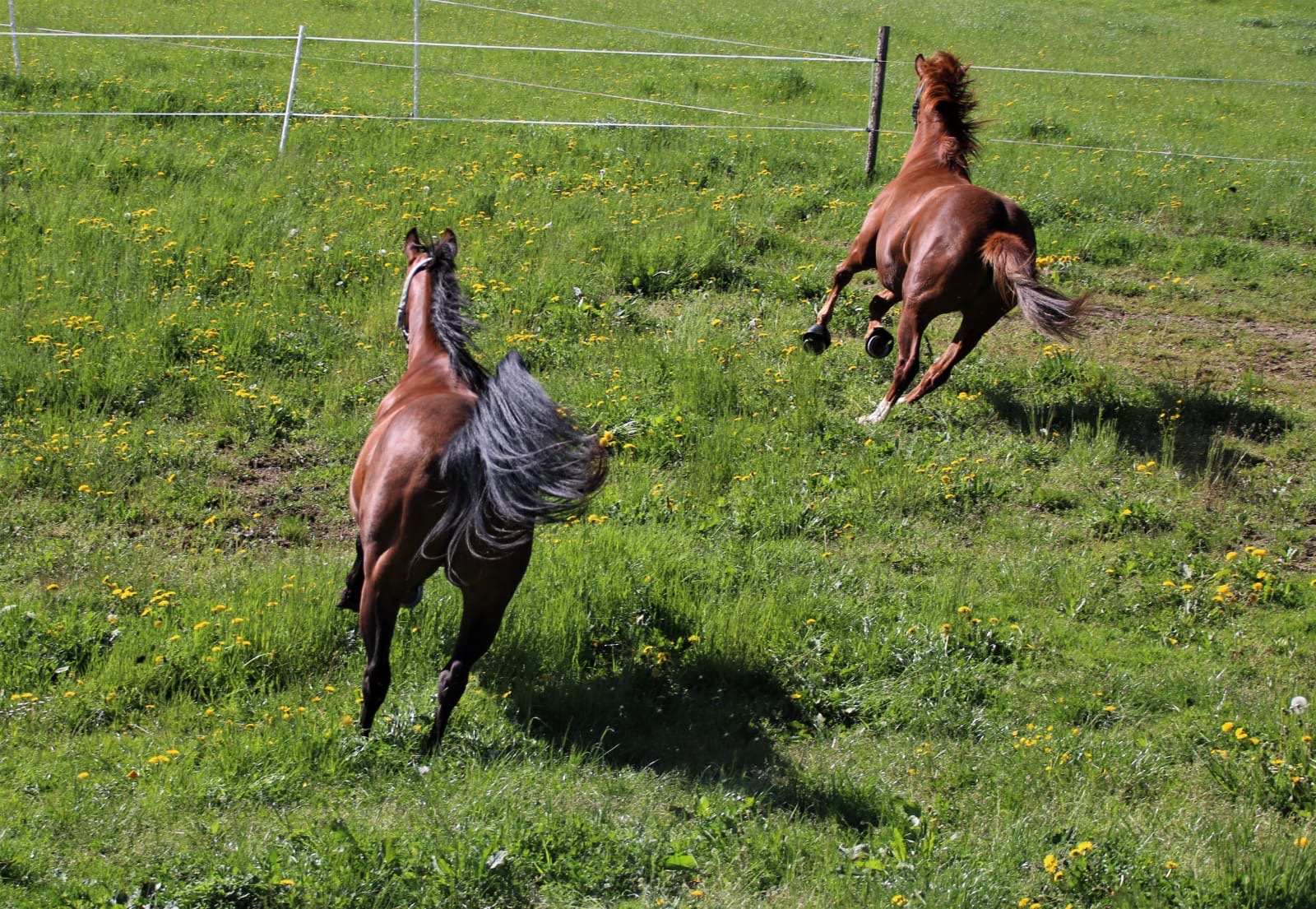 49c25da8-6692-4ffa-a686-8736a75db1be