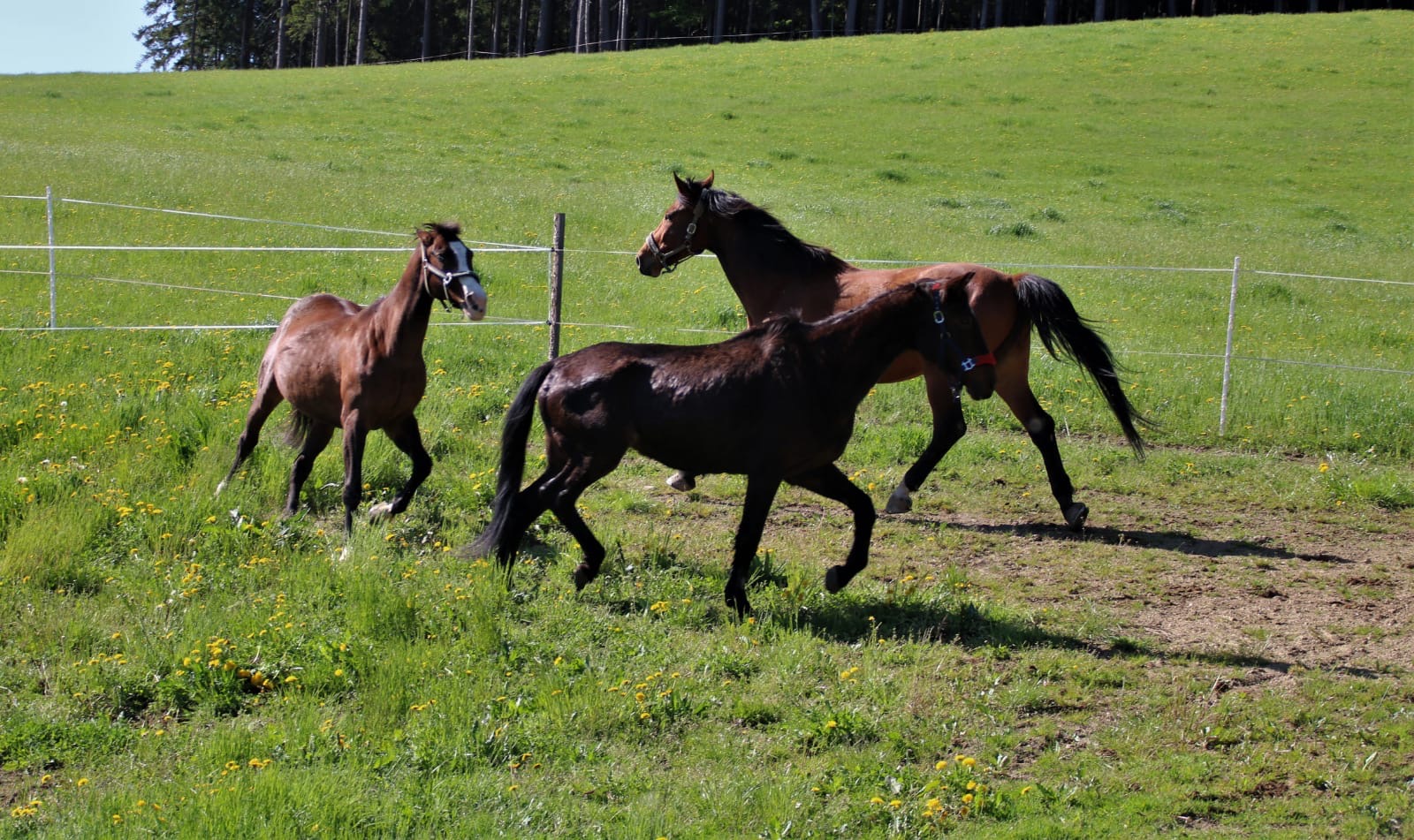 4beb6002-58ba-4f0b-a9a9-13469e830362