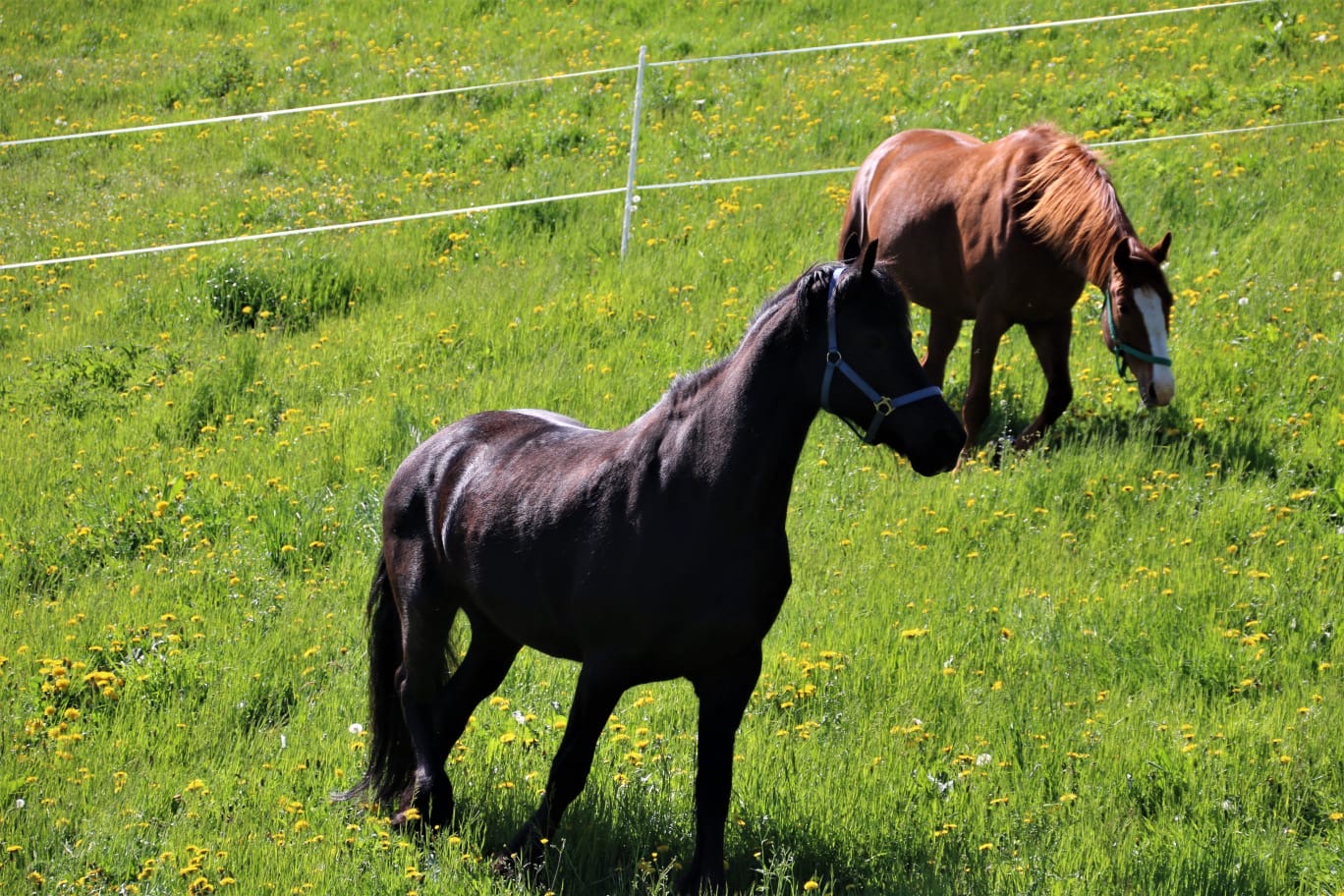 4e5440b4-478d-49e8-9e9e-e0ed2237336d