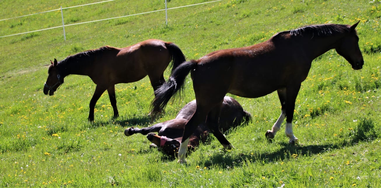 56524ae1-e213-4109-a0a1-3919e8bebf14