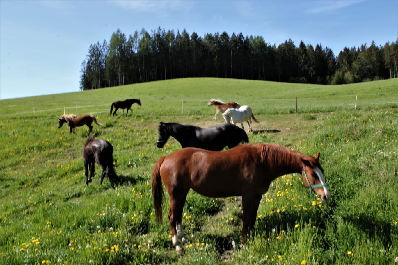 56ad37d0-28c1-44ac-98ed-e81edfd4ad7c