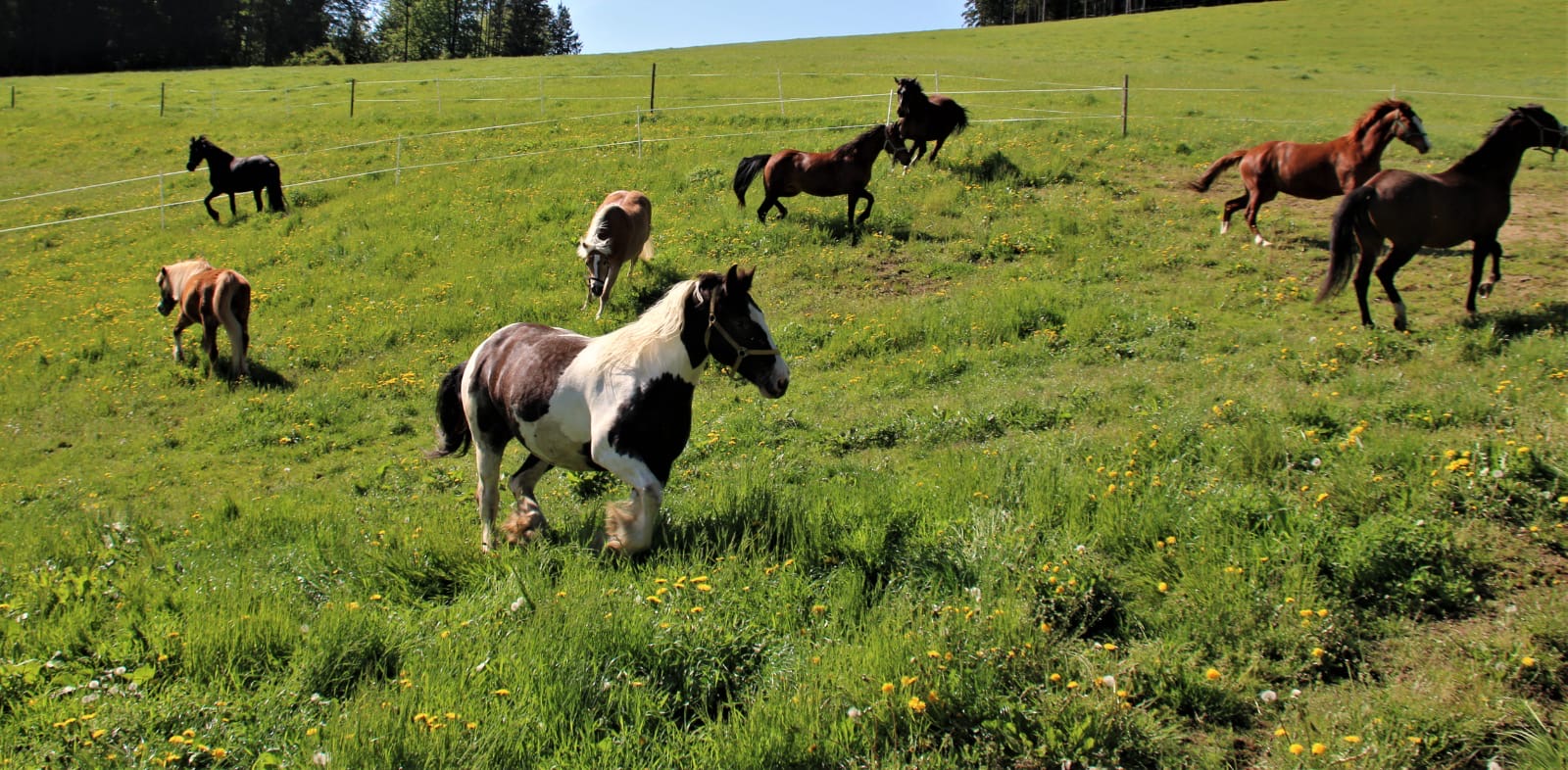 59109e31-3a58-470e-956f-897981f43645