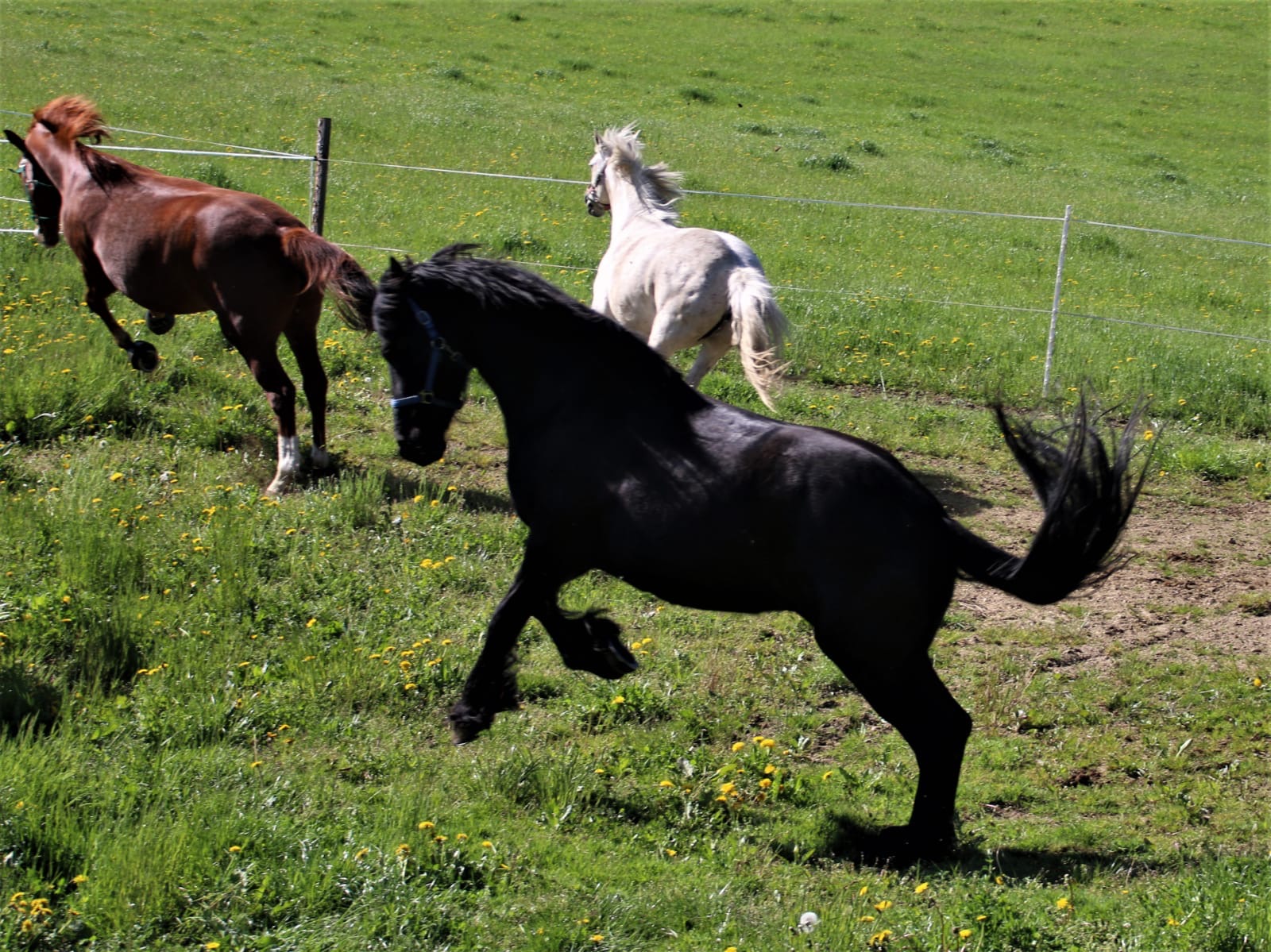 5dfe2577-fba4-4842-a1e9-992a779f3db3