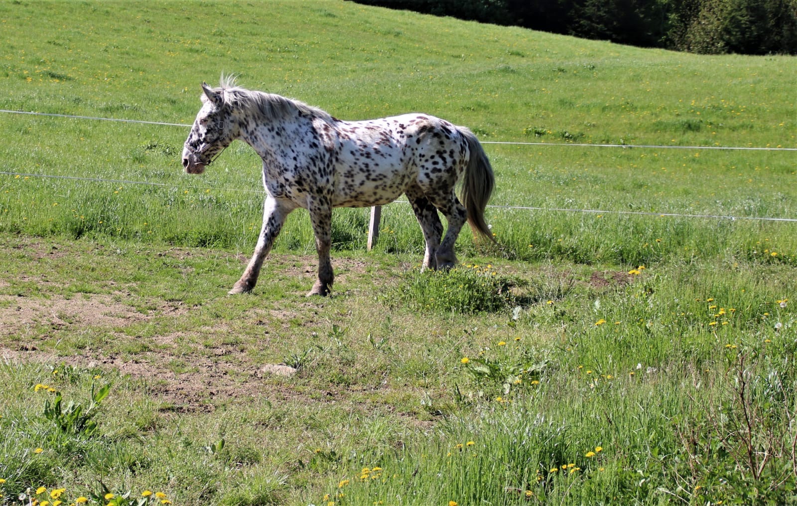 5fc16880-3beb-4408-be64-2a4201d93ba6