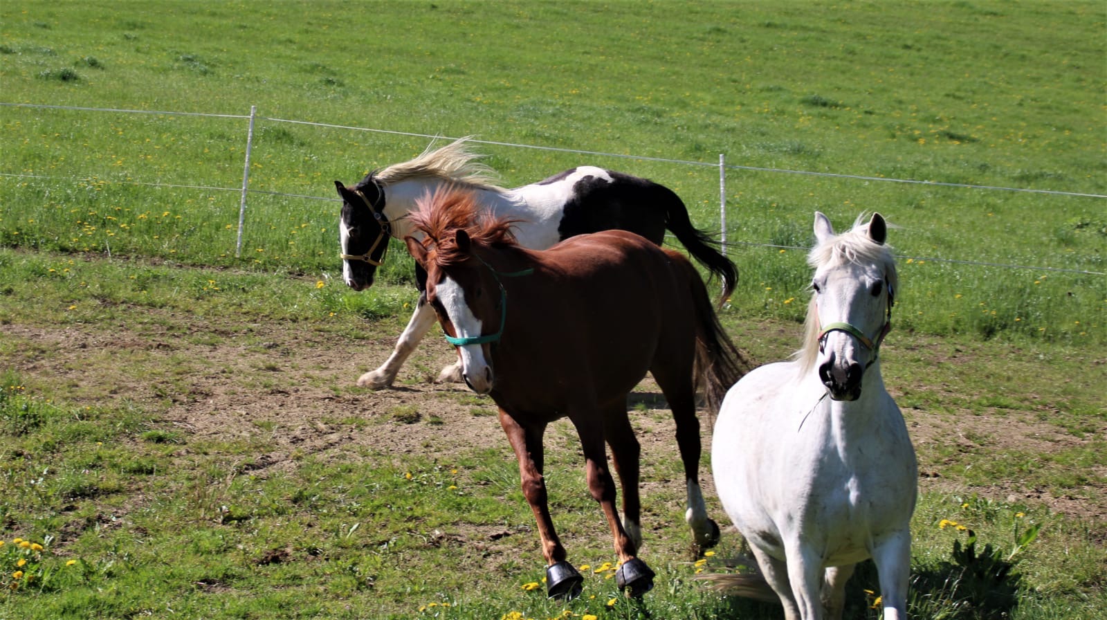 65166ab6-b579-4a4a-8b17-4abc92f869fc