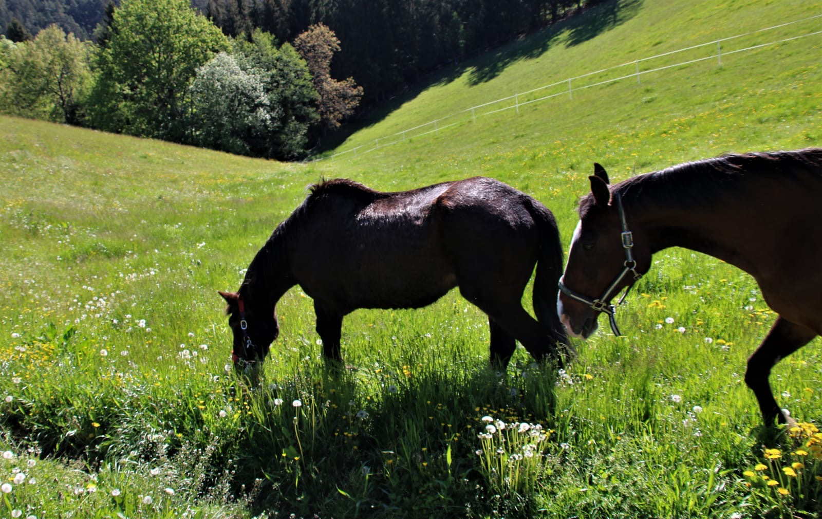 65d6fcae-b01c-41a1-954b-f49d5faa9fba