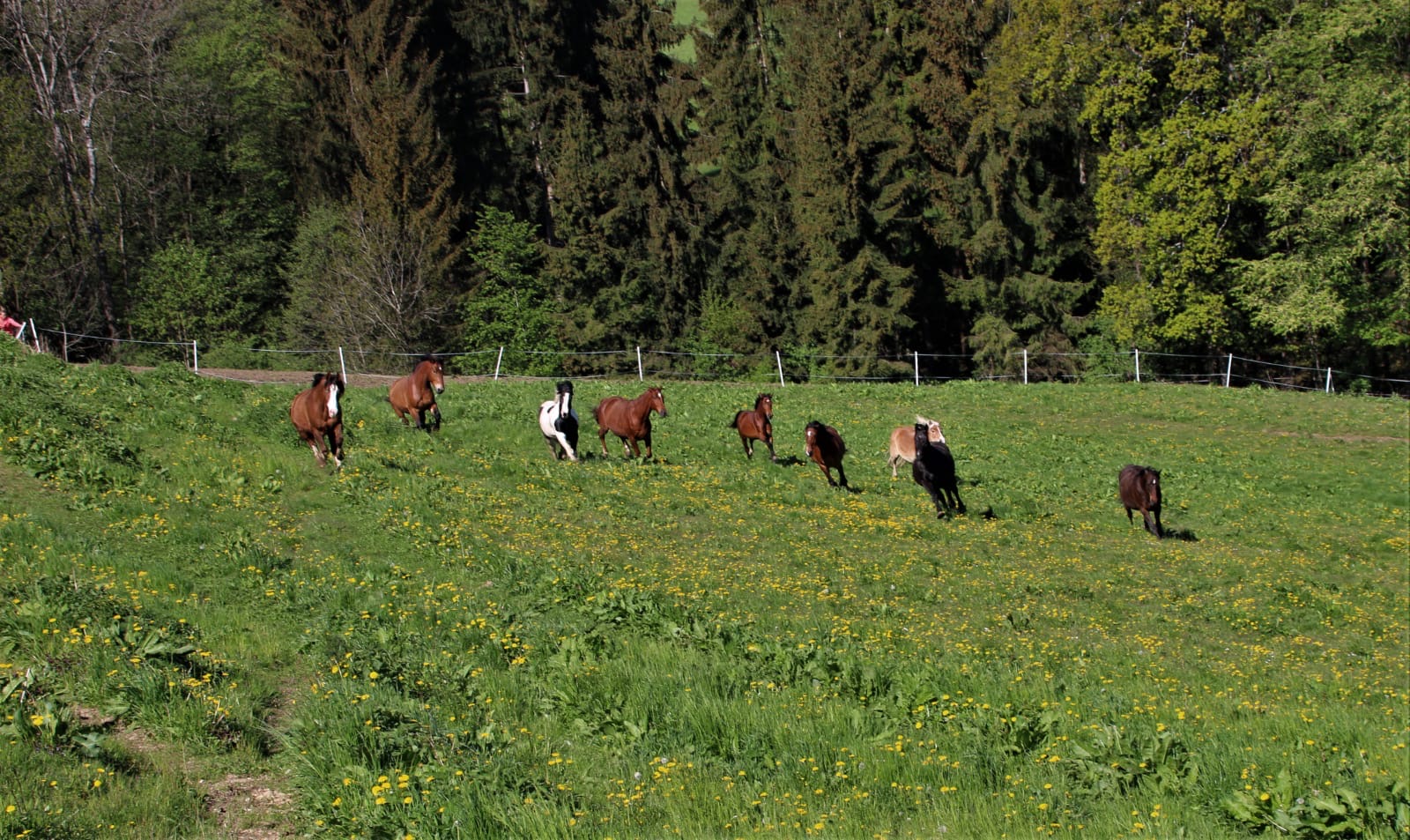 7163b348-c547-4279-8aa1-2619a3ca56fe