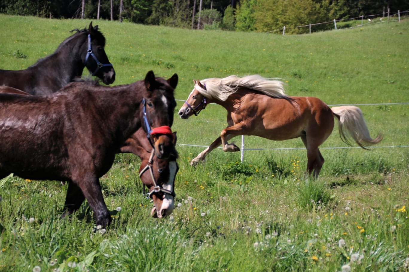 7d686bde-d167-4665-b5ff-dea36416dfb4