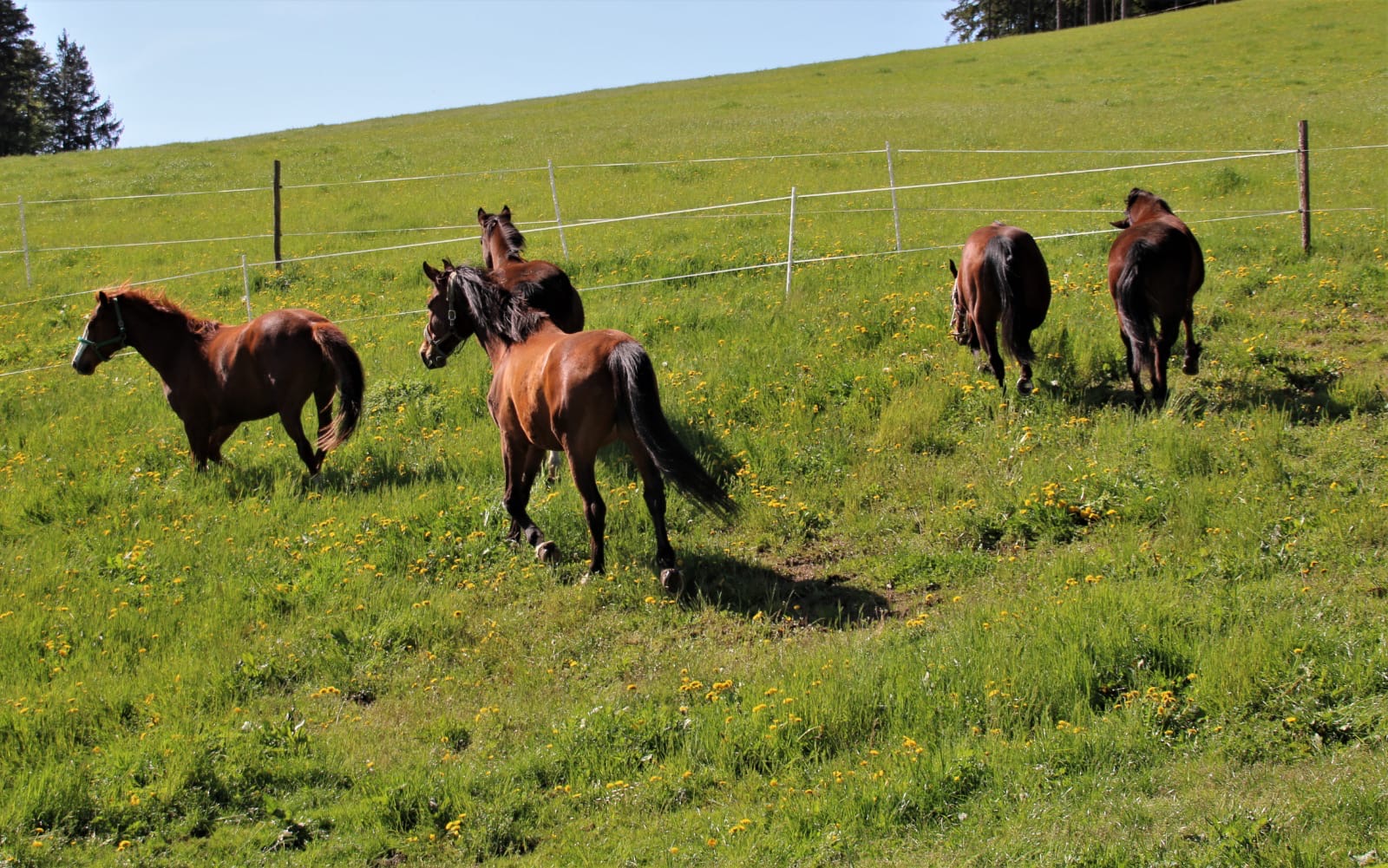 7dc8cd35-c284-497a-958d-023025141b74