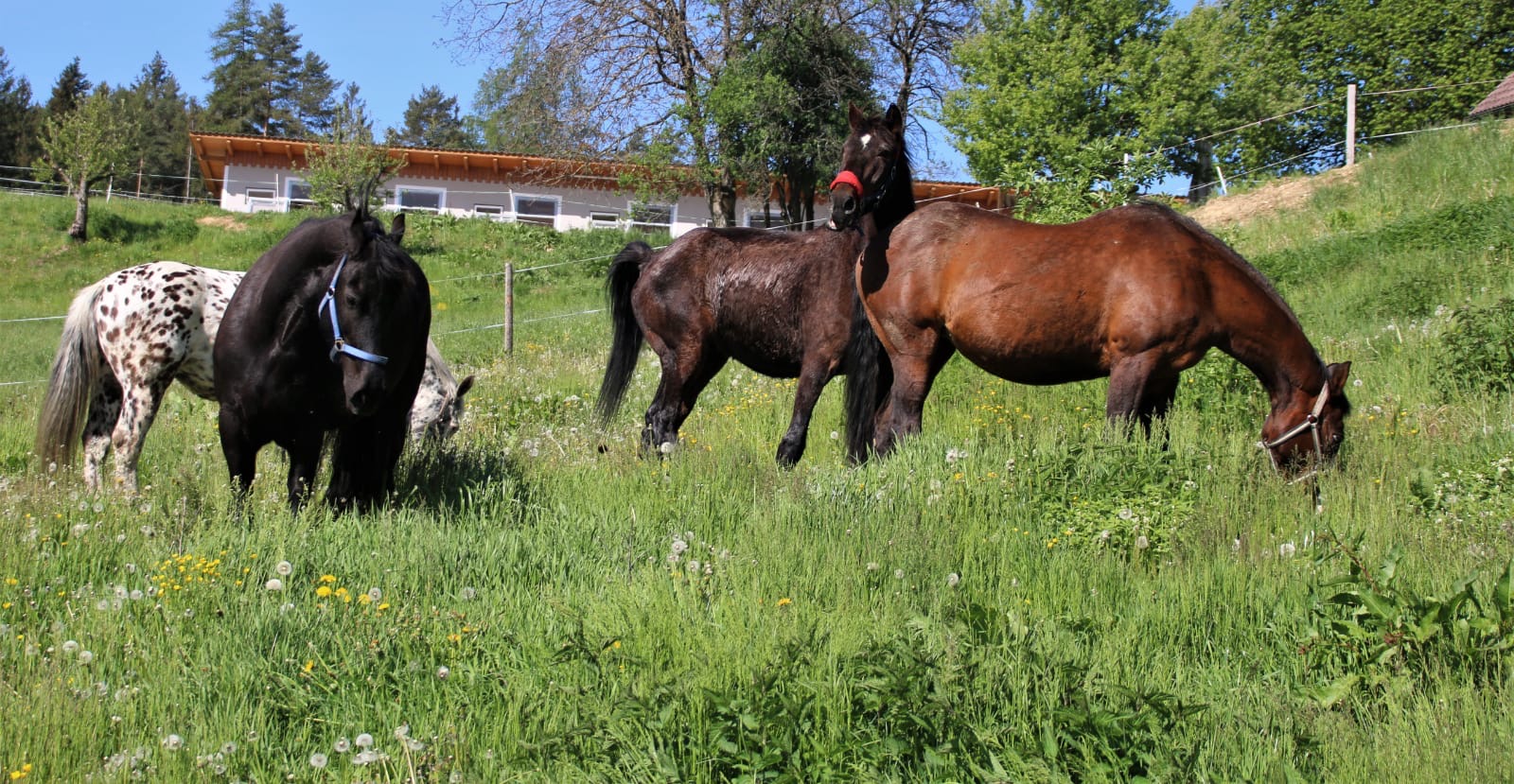 7e3cf22f-0742-4e41-9662-80c08a89edd2