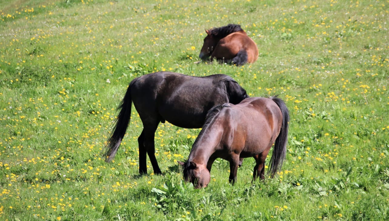 80962af2-5667-423a-b62e-c2d6b05d2d00