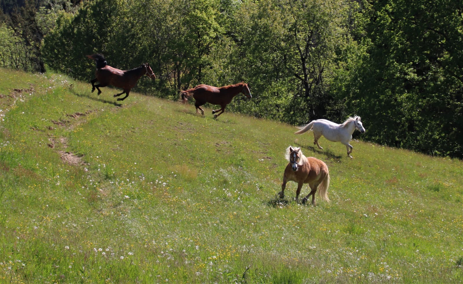 811cf2cb-74fa-431c-be18-36e683e1f613