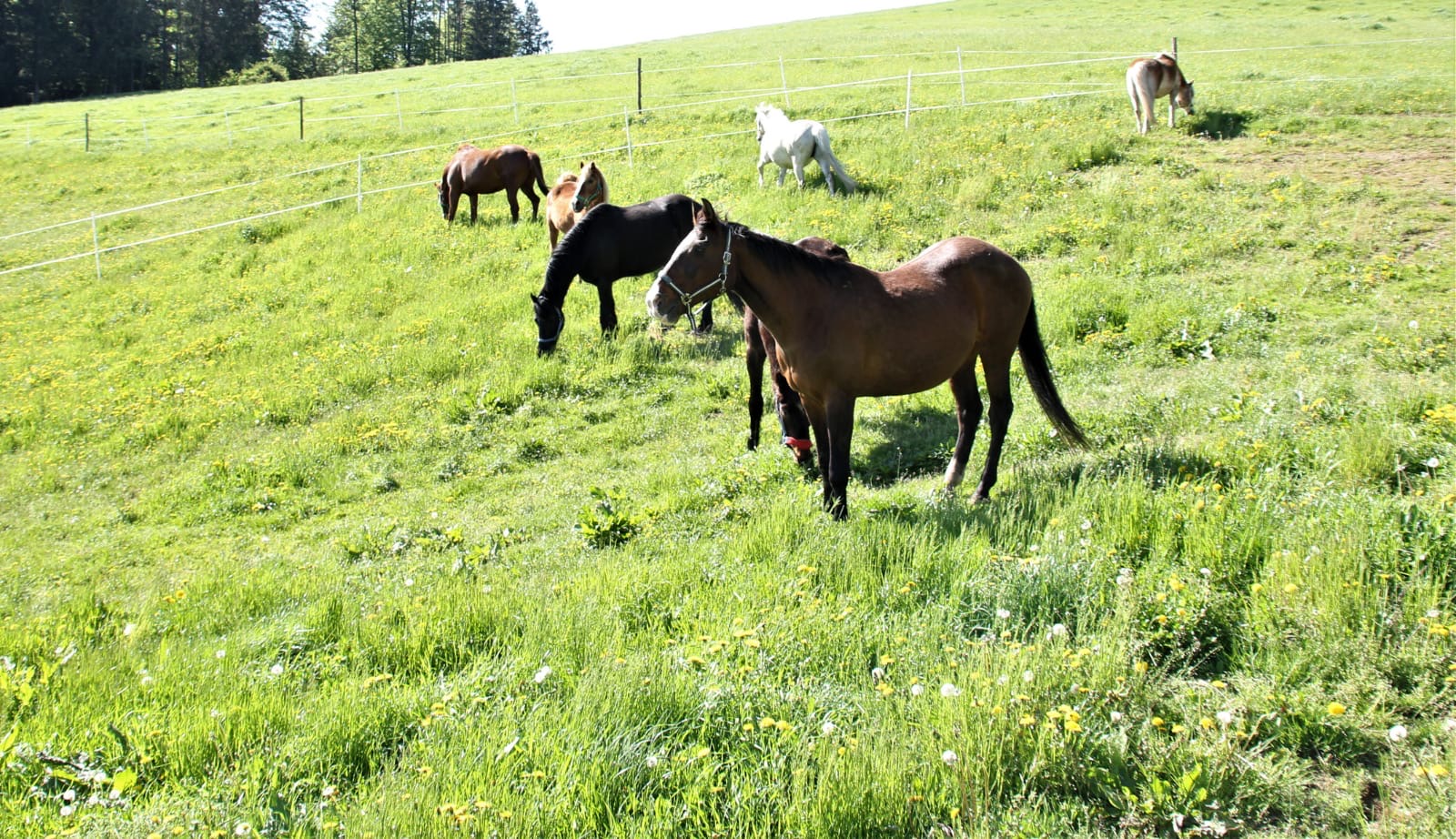 82965b43-dd72-4f94-b489-15d04abb437f