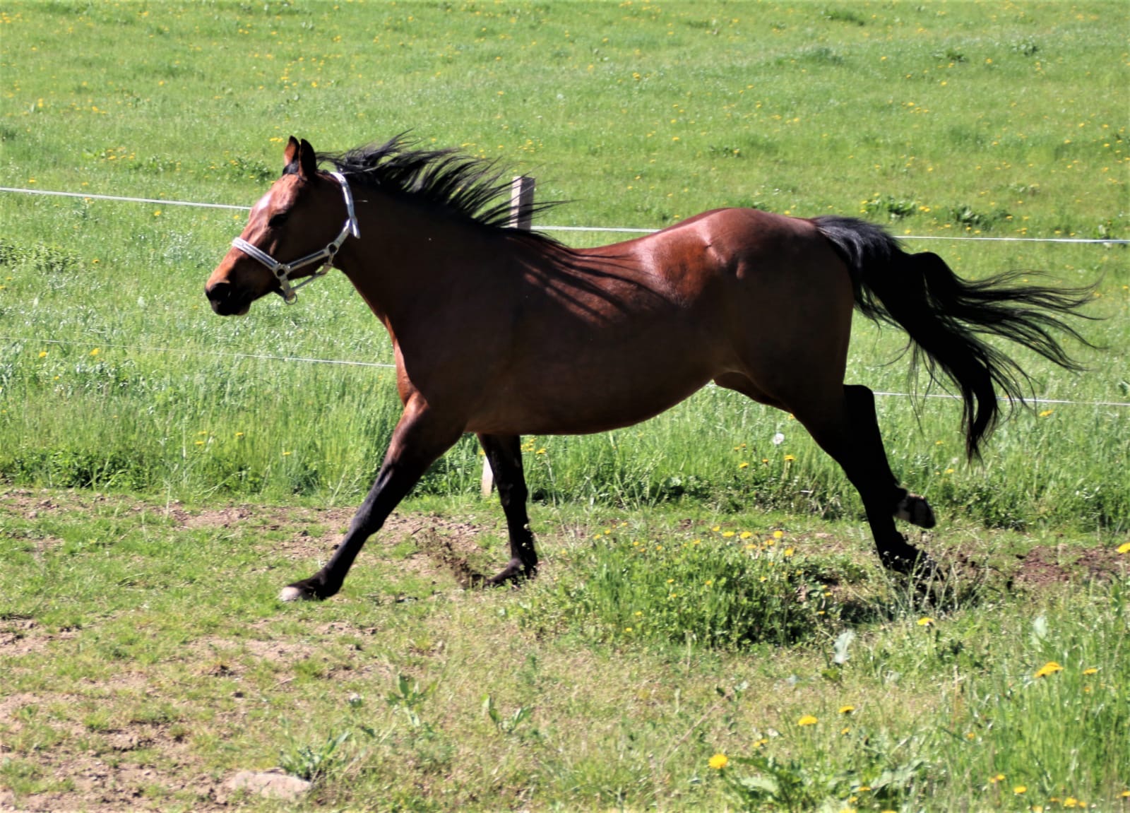 86cdd335-9cb1-4062-9d57-9974458a9457