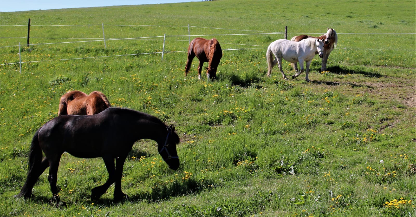 86e1297e-1c12-4427-84d0-03d992ad55af