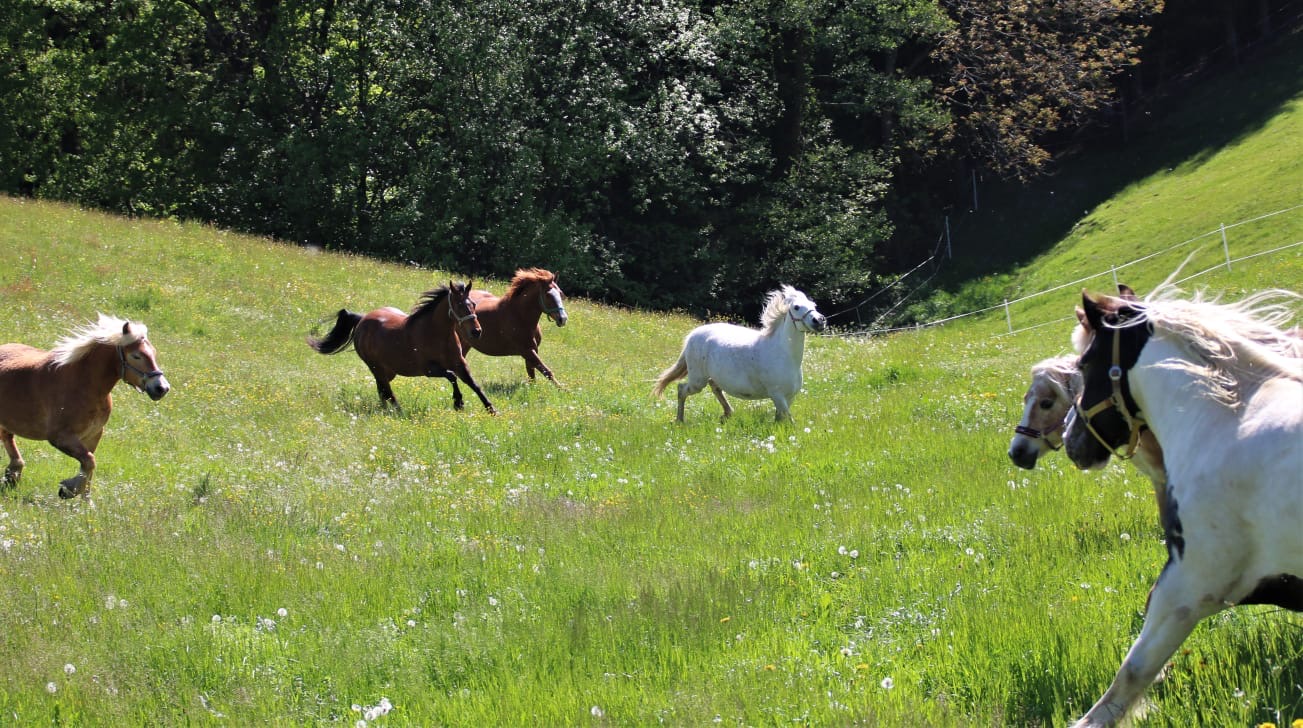 8aa271b7-cf05-4827-b001-be67dd3845fb