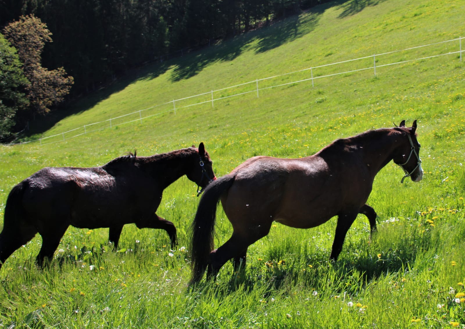 8b5ff2c1-30a1-4692-be1f-40d338360fd4