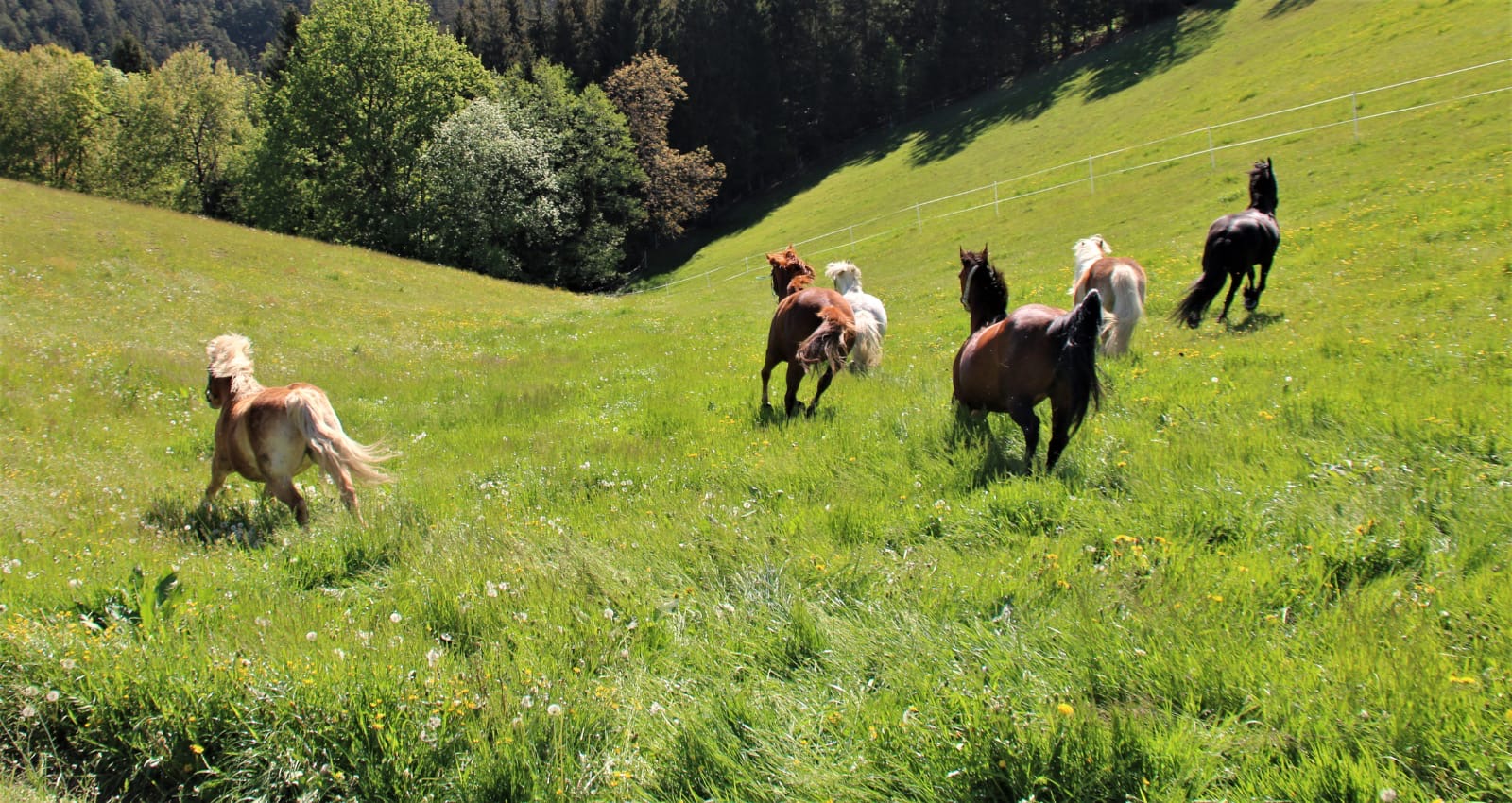 8d3d3313-68c9-4197-9fd0-7b134b3f24a9