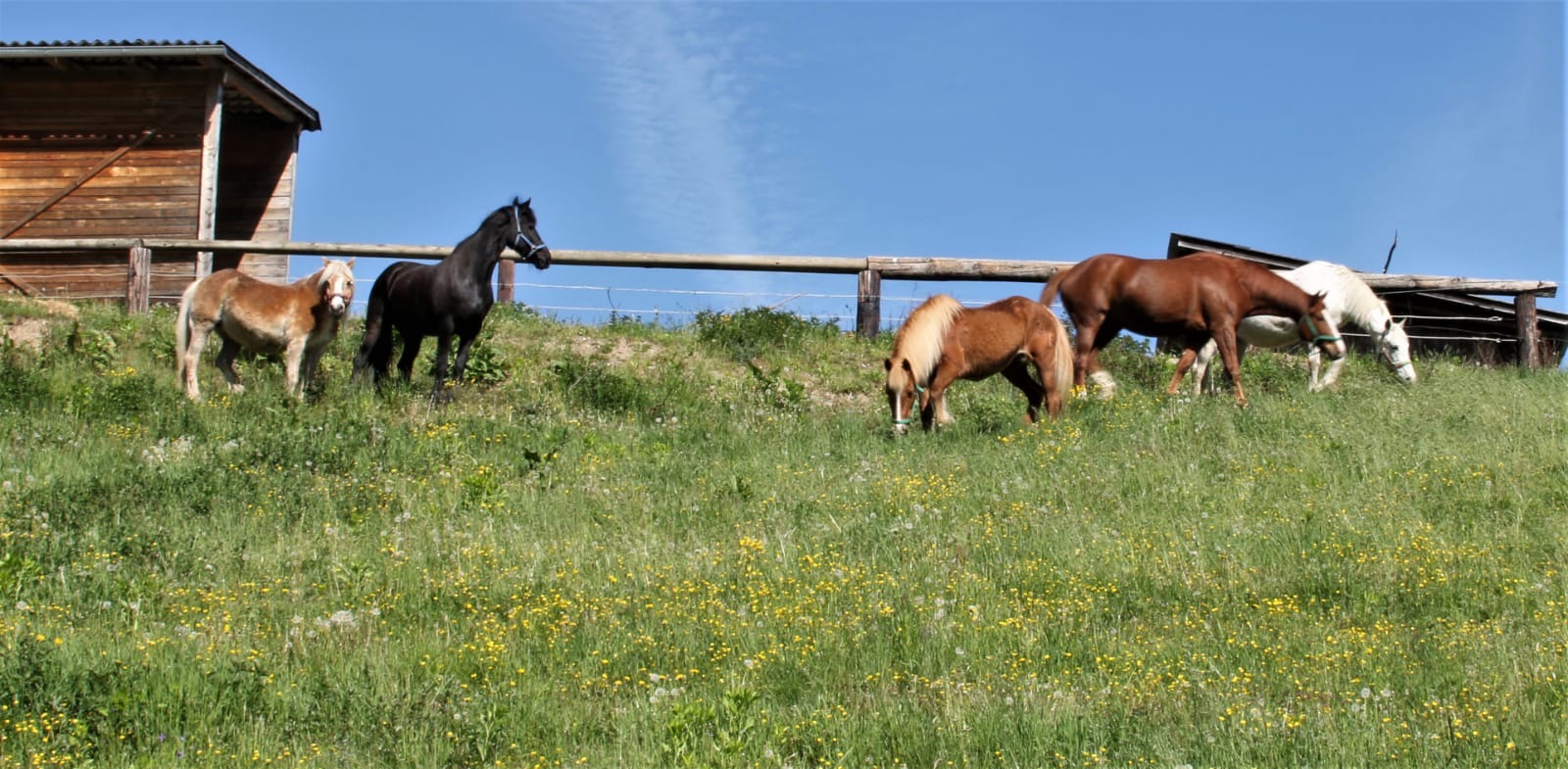 8d707f09-adea-4e85-a61b-618374324b08