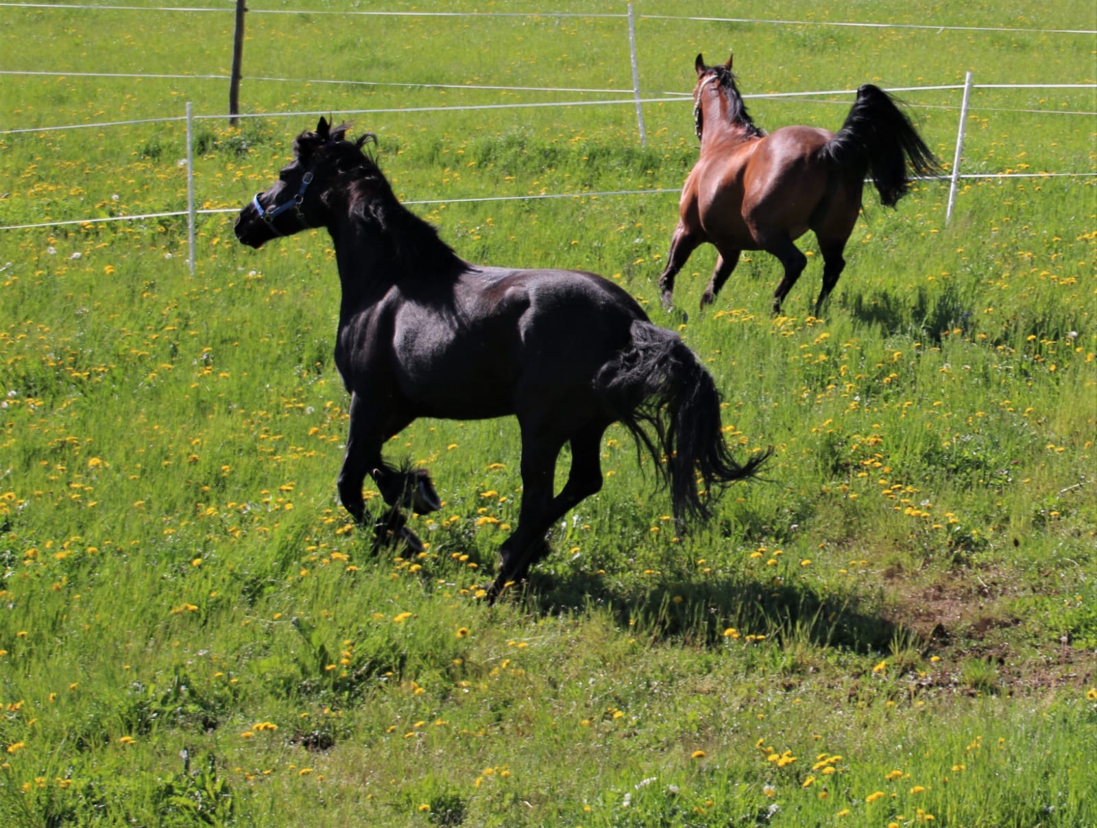 990ba6a8-f9b0-462e-a233-58374ab66a36