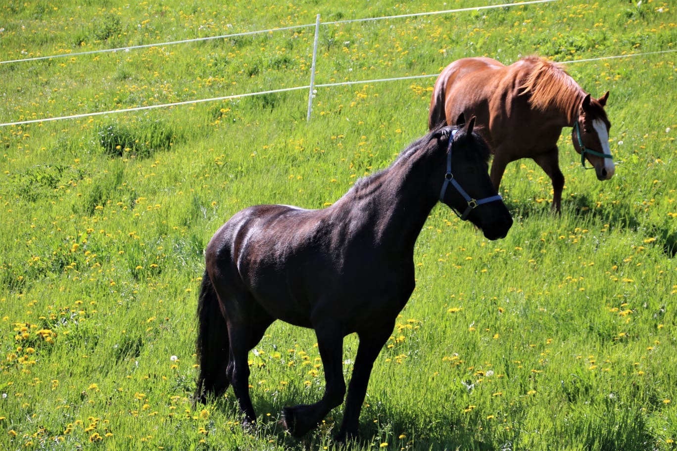 9ce1d90c-e2d6-4ba7-83de-4230378fb2b5