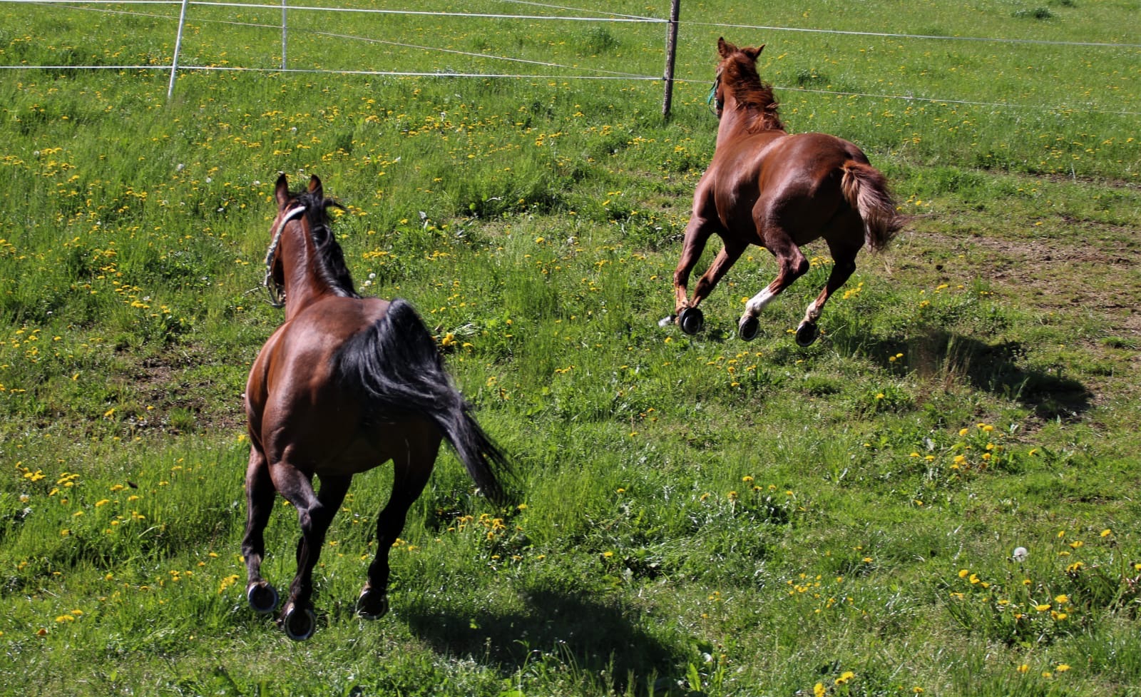 9d878634-a831-4fbb-8f2e-050c53f1c0b8