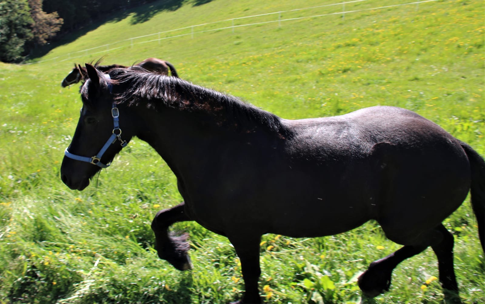 9fb365d4-6e73-4d9a-b4db-76e2d290f585