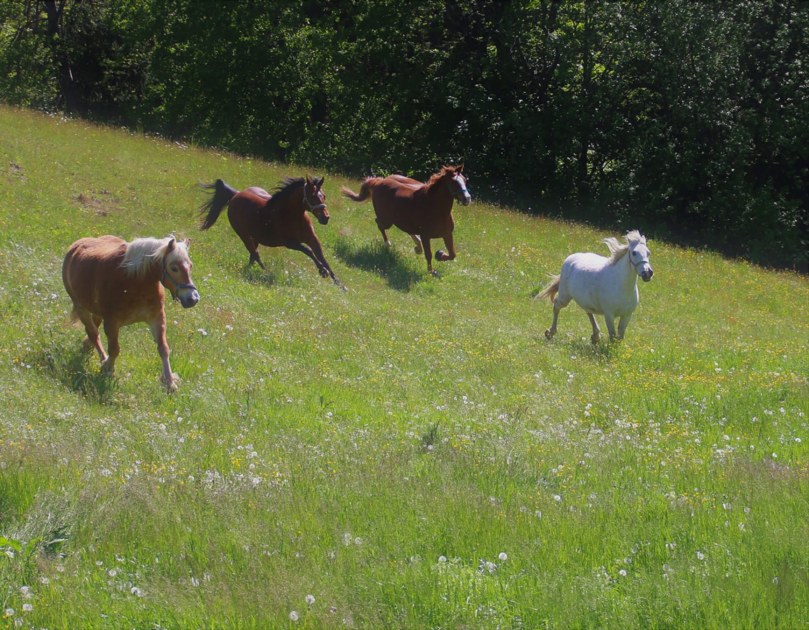 WhatsApp Image 2020-05-11 at 18.18.57